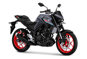 MT 25
